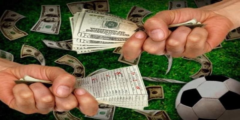 Lợi ích khi theo dõi kết quả bóng đá liên tục