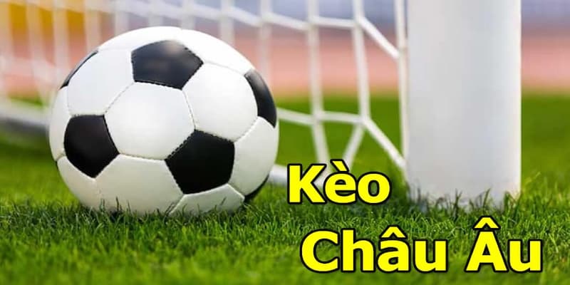 Ứng dụng công nghệ và dữ liệu thống kê trong soi kèo bóng đá châu Âu